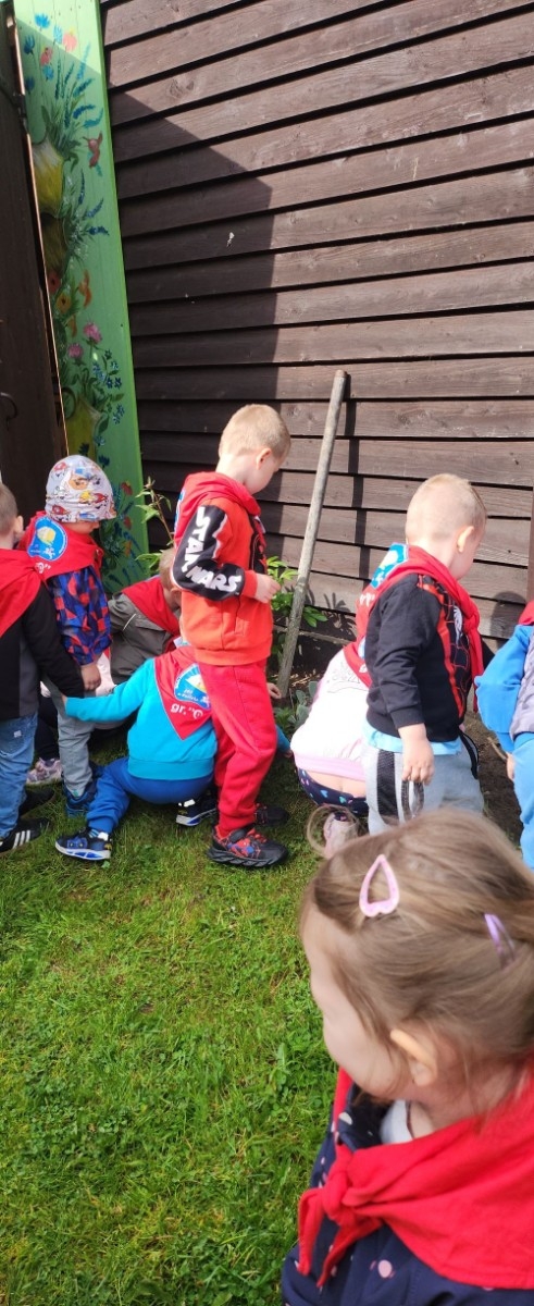 	Dnia 22 maja 20205 roku dzieci  z grupy „Zajączki” oraz „Leśne Skrzaty” z oddziałów przedszkolnych przy SP2 udały się na wycieczkę do Zagrody Edukacyjnej „Ziołowy Dzbanek” . Podczas wizyty dzieci uczestniczyły w warsztatach, gdzie miały okazję własnoręcznie wykonać piękny prezent, który wręczą podczas  zbliżającego się
” Dnia Mamy”. Kolejną atrakcją dla dzieci był spacer po „Ogrodzie Ziołowym”, gdzie  miały okazję zobaczyć, powąchać  oraz poznać zastosowanie niektórych ziół. Natomiast w „Chacie Zielarskiej”miały okazję zobaczyć różne sprzęty codziennego użytku z dawnych lat. Dodatkową atrakcją dla dzieci było spotkanie ze zwierzętami w mini zoo, gdzie mogły dosyć nieśmiało z małą dozą niepewności nakarmić znajdujące się tam zwierzęta. Na zakończenie pełnej emocji wizyty dzieci zjadły przygotowane przez gospodarzy pyszne czekoladowe babeczki i wypiły domowy kompot. Uśmiech na twarzach dzieci był najlepszym dowodem na to , iż wycieczkę możemy uznać za udaną :)
