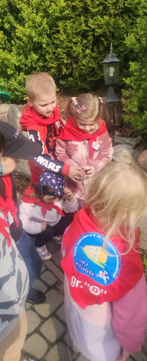 	Dnia 22 maja 20205 roku dzieci  z grupy „Zajączki” oraz „Leśne Skrzaty” z oddziałów przedszkolnych przy SP2 udały się na wycieczkę do Zagrody Edukacyjnej „Ziołowy Dzbanek” . Podczas wizyty dzieci uczestniczyły w warsztatach, gdzie miały okazję własnoręcznie wykonać piękny prezent, który wręczą podczas  zbliżającego się
” Dnia Mamy”. Kolejną atrakcją dla dzieci był spacer po „Ogrodzie Ziołowym”, gdzie  miały okazję zobaczyć, powąchać  oraz poznać zastosowanie niektórych ziół. Natomiast w „Chacie Zielarskiej”miały okazję zobaczyć różne sprzęty codziennego użytku z dawnych lat. Dodatkową atrakcją dla dzieci było spotkanie ze zwierzętami w mini zoo, gdzie mogły dosyć nieśmiało z małą dozą niepewności nakarmić znajdujące się tam zwierzęta. Na zakończenie pełnej emocji wizyty dzieci zjadły przygotowane przez gospodarzy pyszne czekoladowe babeczki i wypiły domowy kompot. Uśmiech na twarzach dzieci był najlepszym dowodem na to , iż wycieczkę możemy uznać za udaną :)

