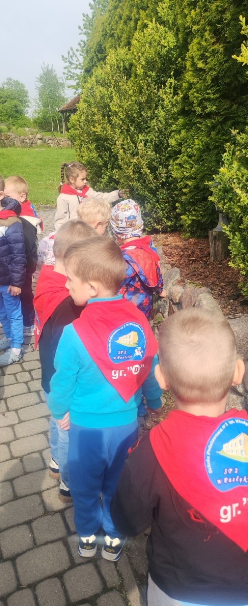 	Dnia 22 maja 20205 roku dzieci  z grupy „Zajączki” oraz „Leśne Skrzaty” z oddziałów przedszkolnych przy SP2 udały się na wycieczkę do Zagrody Edukacyjnej „Ziołowy Dzbanek” . Podczas wizyty dzieci uczestniczyły w warsztatach, gdzie miały okazję własnoręcznie wykonać piękny prezent, który wręczą podczas  zbliżającego się
” Dnia Mamy”. Kolejną atrakcją dla dzieci był spacer po „Ogrodzie Ziołowym”, gdzie  miały okazję zobaczyć, powąchać  oraz poznać zastosowanie niektórych ziół. Natomiast w „Chacie Zielarskiej”miały okazję zobaczyć różne sprzęty codziennego użytku z dawnych lat. Dodatkową atrakcją dla dzieci było spotkanie ze zwierzętami w mini zoo, gdzie mogły dosyć nieśmiało z małą dozą niepewności nakarmić znajdujące się tam zwierzęta. Na zakończenie pełnej emocji wizyty dzieci zjadły przygotowane przez gospodarzy pyszne czekoladowe babeczki i wypiły domowy kompot. Uśmiech na twarzach dzieci był najlepszym dowodem na to , iż wycieczkę możemy uznać za udaną :)

