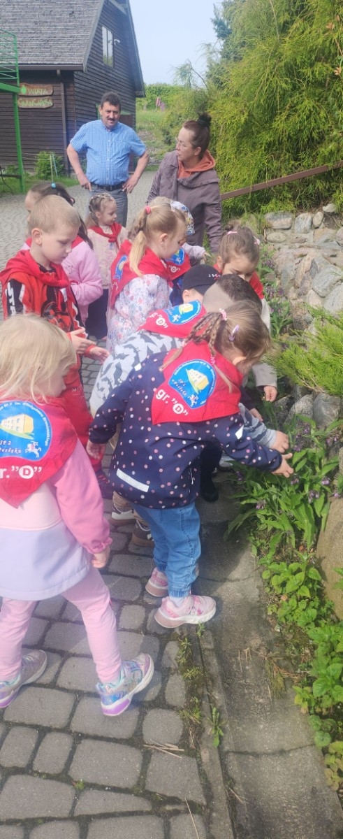 	Dnia 22 maja 20205 roku dzieci  z grupy „Zajączki” oraz „Leśne Skrzaty” z oddziałów przedszkolnych przy SP2 udały się na wycieczkę do Zagrody Edukacyjnej „Ziołowy Dzbanek” . Podczas wizyty dzieci uczestniczyły w warsztatach, gdzie miały okazję własnoręcznie wykonać piękny prezent, który wręczą podczas  zbliżającego się
” Dnia Mamy”. Kolejną atrakcją dla dzieci był spacer po „Ogrodzie Ziołowym”, gdzie  miały okazję zobaczyć, powąchać  oraz poznać zastosowanie niektórych ziół. Natomiast w „Chacie Zielarskiej”miały okazję zobaczyć różne sprzęty codziennego użytku z dawnych lat. Dodatkową atrakcją dla dzieci było spotkanie ze zwierzętami w mini zoo, gdzie mogły dosyć nieśmiało z małą dozą niepewności nakarmić znajdujące się tam zwierzęta. Na zakończenie pełnej emocji wizyty dzieci zjadły przygotowane przez gospodarzy pyszne czekoladowe babeczki i wypiły domowy kompot. Uśmiech na twarzach dzieci był najlepszym dowodem na to , iż wycieczkę możemy uznać za udaną :)
