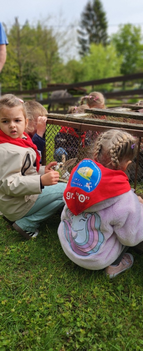 	Dnia 22 maja 20205 roku dzieci  z grupy „Zajączki” oraz „Leśne Skrzaty” z oddziałów przedszkolnych przy SP2 udały się na wycieczkę do Zagrody Edukacyjnej „Ziołowy Dzbanek” . Podczas wizyty dzieci uczestniczyły w warsztatach, gdzie miały okazję własnoręcznie wykonać piękny prezent, który wręczą podczas  zbliżającego się
” Dnia Mamy”. Kolejną atrakcją dla dzieci był spacer po „Ogrodzie Ziołowym”, gdzie  miały okazję zobaczyć, powąchać  oraz poznać zastosowanie niektórych ziół. Natomiast w „Chacie Zielarskiej”miały okazję zobaczyć różne sprzęty codziennego użytku z dawnych lat. Dodatkową atrakcją dla dzieci było spotkanie ze zwierzętami w mini zoo, gdzie mogły dosyć nieśmiało z małą dozą niepewności nakarmić znajdujące się tam zwierzęta. Na zakończenie pełnej emocji wizyty dzieci zjadły przygotowane przez gospodarzy pyszne czekoladowe babeczki i wypiły domowy kompot. Uśmiech na twarzach dzieci był najlepszym dowodem na to , iż wycieczkę możemy uznać za udaną :)
