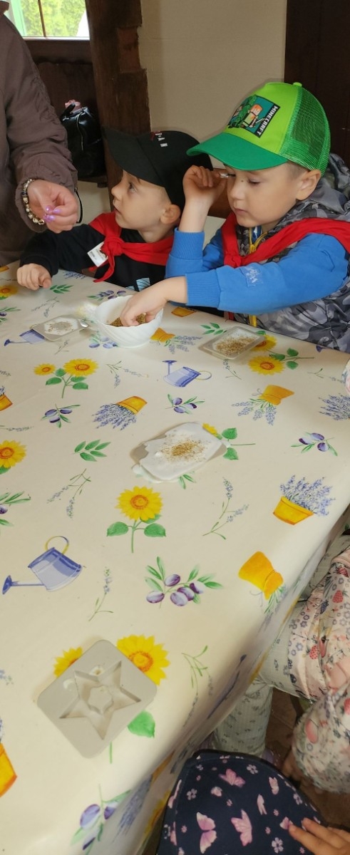 	Dnia 22 maja 20205 roku dzieci  z grupy „Zajączki” oraz „Leśne Skrzaty” z oddziałów przedszkolnych przy SP2 udały się na wycieczkę do Zagrody Edukacyjnej „Ziołowy Dzbanek” . Podczas wizyty dzieci uczestniczyły w warsztatach, gdzie miały okazję własnoręcznie wykonać piękny prezent, który wręczą podczas  zbliżającego się
” Dnia Mamy”. Kolejną atrakcją dla dzieci był spacer po „Ogrodzie Ziołowym”, gdzie  miały okazję zobaczyć, powąchać  oraz poznać zastosowanie niektórych ziół. Natomiast w „Chacie Zielarskiej”miały okazję zobaczyć różne sprzęty codziennego użytku z dawnych lat. Dodatkową atrakcją dla dzieci było spotkanie ze zwierzętami w mini zoo, gdzie mogły dosyć nieśmiało z małą dozą niepewności nakarmić znajdujące się tam zwierzęta. Na zakończenie pełnej emocji wizyty dzieci zjadły przygotowane przez gospodarzy pyszne czekoladowe babeczki i wypiły domowy kompot. Uśmiech na twarzach dzieci był najlepszym dowodem na to , iż wycieczkę możemy uznać za udaną :)
