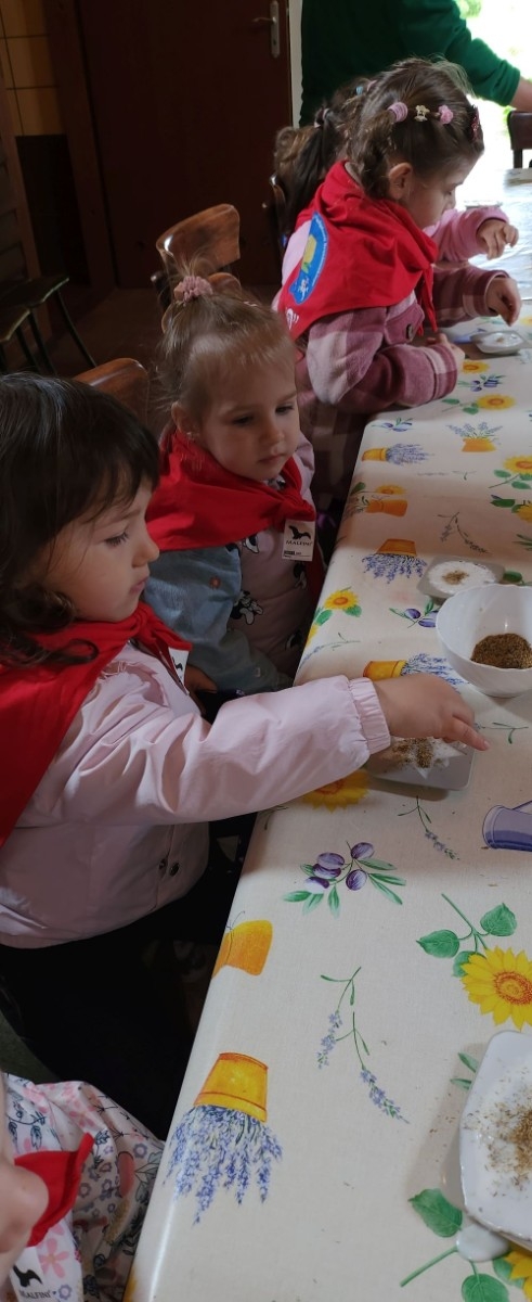 	Dnia 22 maja 20205 roku dzieci  z grupy „Zajączki” oraz „Leśne Skrzaty” z oddziałów przedszkolnych przy SP2 udały się na wycieczkę do Zagrody Edukacyjnej „Ziołowy Dzbanek” . Podczas wizyty dzieci uczestniczyły w warsztatach, gdzie miały okazję własnoręcznie wykonać piękny prezent, który wręczą podczas  zbliżającego się
” Dnia Mamy”. Kolejną atrakcją dla dzieci był spacer po „Ogrodzie Ziołowym”, gdzie  miały okazję zobaczyć, powąchać  oraz poznać zastosowanie niektórych ziół. Natomiast w „Chacie Zielarskiej”miały okazję zobaczyć różne sprzęty codziennego użytku z dawnych lat. Dodatkową atrakcją dla dzieci było spotkanie ze zwierzętami w mini zoo, gdzie mogły dosyć nieśmiało z małą dozą niepewności nakarmić znajdujące się tam zwierzęta. Na zakończenie pełnej emocji wizyty dzieci zjadły przygotowane przez gospodarzy pyszne czekoladowe babeczki i wypiły domowy kompot. Uśmiech na twarzach dzieci był najlepszym dowodem na to , iż wycieczkę możemy uznać za udaną :)
