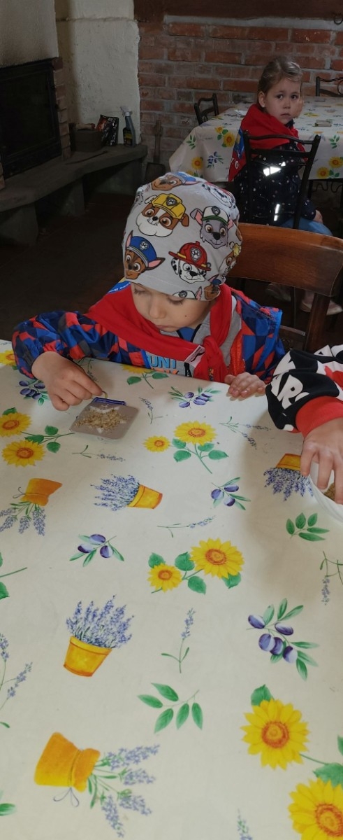 	Dnia 22 maja 20205 roku dzieci  z grupy „Zajączki” oraz „Leśne Skrzaty” z oddziałów przedszkolnych przy SP2 udały się na wycieczkę do Zagrody Edukacyjnej „Ziołowy Dzbanek” . Podczas wizyty dzieci uczestniczyły w warsztatach, gdzie miały okazję własnoręcznie wykonać piękny prezent, który wręczą podczas  zbliżającego się
” Dnia Mamy”. Kolejną atrakcją dla dzieci był spacer po „Ogrodzie Ziołowym”, gdzie  miały okazję zobaczyć, powąchać  oraz poznać zastosowanie niektórych ziół. Natomiast w „Chacie Zielarskiej”miały okazję zobaczyć różne sprzęty codziennego użytku z dawnych lat. Dodatkową atrakcją dla dzieci było spotkanie ze zwierzętami w mini zoo, gdzie mogły dosyć nieśmiało z małą dozą niepewności nakarmić znajdujące się tam zwierzęta. Na zakończenie pełnej emocji wizyty dzieci zjadły przygotowane przez gospodarzy pyszne czekoladowe babeczki i wypiły domowy kompot. Uśmiech na twarzach dzieci był najlepszym dowodem na to , iż wycieczkę możemy uznać za udaną :)
