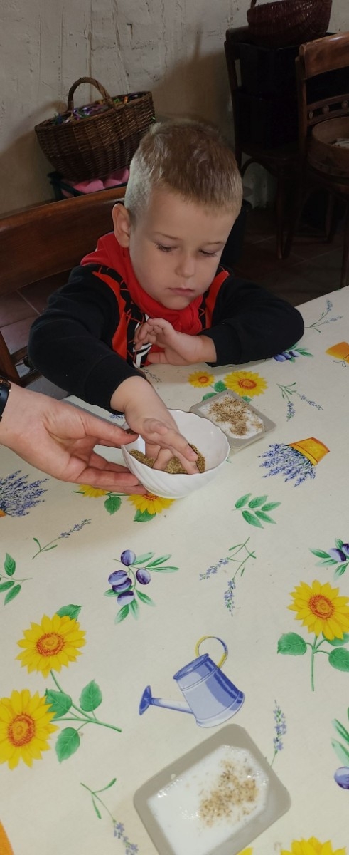 	Dnia 22 maja 20205 roku dzieci  z grupy „Zajączki” oraz „Leśne Skrzaty” z oddziałów przedszkolnych przy SP2 udały się na wycieczkę do Zagrody Edukacyjnej „Ziołowy Dzbanek” . Podczas wizyty dzieci uczestniczyły w warsztatach, gdzie miały okazję własnoręcznie wykonać piękny prezent, który wręczą podczas  zbliżającego się
” Dnia Mamy”. Kolejną atrakcją dla dzieci był spacer po „Ogrodzie Ziołowym”, gdzie  miały okazję zobaczyć, powąchać  oraz poznać zastosowanie niektórych ziół. Natomiast w „Chacie Zielarskiej”miały okazję zobaczyć różne sprzęty codziennego użytku z dawnych lat. Dodatkową atrakcją dla dzieci było spotkanie ze zwierzętami w mini zoo, gdzie mogły dosyć nieśmiało z małą dozą niepewności nakarmić znajdujące się tam zwierzęta. Na zakończenie pełnej emocji wizyty dzieci zjadły przygotowane przez gospodarzy pyszne czekoladowe babeczki i wypiły domowy kompot. Uśmiech na twarzach dzieci był najlepszym dowodem na to , iż wycieczkę możemy uznać za udaną :)
