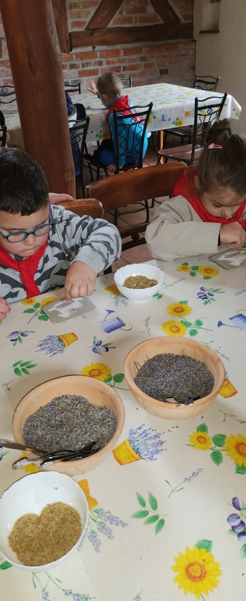 	Dnia 22 maja 20205 roku dzieci  z grupy „Zajączki” oraz „Leśne Skrzaty” z oddziałów przedszkolnych przy SP2 udały się na wycieczkę do Zagrody Edukacyjnej „Ziołowy Dzbanek” . Podczas wizyty dzieci uczestniczyły w warsztatach, gdzie miały okazję własnoręcznie wykonać piękny prezent, który wręczą podczas  zbliżającego się
” Dnia Mamy”. Kolejną atrakcją dla dzieci był spacer po „Ogrodzie Ziołowym”, gdzie  miały okazję zobaczyć, powąchać  oraz poznać zastosowanie niektórych ziół. Natomiast w „Chacie Zielarskiej”miały okazję zobaczyć różne sprzęty codziennego użytku z dawnych lat. Dodatkową atrakcją dla dzieci było spotkanie ze zwierzętami w mini zoo, gdzie mogły dosyć nieśmiało z małą dozą niepewności nakarmić znajdujące się tam zwierzęta. Na zakończenie pełnej emocji wizyty dzieci zjadły przygotowane przez gospodarzy pyszne czekoladowe babeczki i wypiły domowy kompot. Uśmiech na twarzach dzieci był najlepszym dowodem na to , iż wycieczkę możemy uznać za udaną :)
