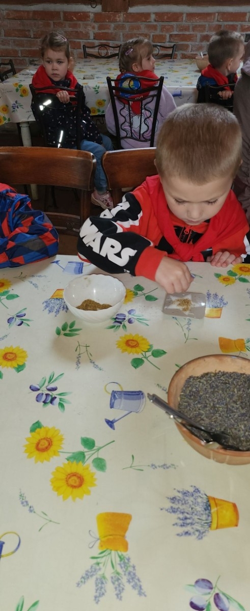 	Dnia 22 maja 20205 roku dzieci  z grupy „Zajączki” oraz „Leśne Skrzaty” z oddziałów przedszkolnych przy SP2 udały się na wycieczkę do Zagrody Edukacyjnej „Ziołowy Dzbanek” . Podczas wizyty dzieci uczestniczyły w warsztatach, gdzie miały okazję własnoręcznie wykonać piękny prezent, który wręczą podczas  zbliżającego się
” Dnia Mamy”. Kolejną atrakcją dla dzieci był spacer po „Ogrodzie Ziołowym”, gdzie  miały okazję zobaczyć, powąchać  oraz poznać zastosowanie niektórych ziół. Natomiast w „Chacie Zielarskiej”miały okazję zobaczyć różne sprzęty codziennego użytku z dawnych lat. Dodatkową atrakcją dla dzieci było spotkanie ze zwierzętami w mini zoo, gdzie mogły dosyć nieśmiało z małą dozą niepewności nakarmić znajdujące się tam zwierzęta. Na zakończenie pełnej emocji wizyty dzieci zjadły przygotowane przez gospodarzy pyszne czekoladowe babeczki i wypiły domowy kompot. Uśmiech na twarzach dzieci był najlepszym dowodem na to , iż wycieczkę możemy uznać za udaną :)
