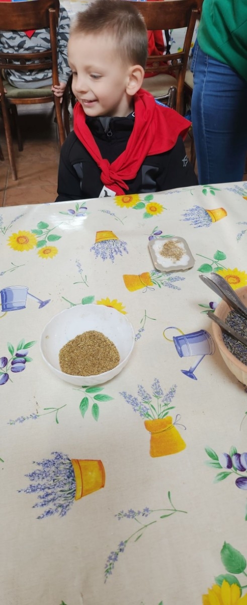 	Dnia 22 maja 20205 roku dzieci  z grupy „Zajączki” oraz „Leśne Skrzaty” z oddziałów przedszkolnych przy SP2 udały się na wycieczkę do Zagrody Edukacyjnej „Ziołowy Dzbanek” . Podczas wizyty dzieci uczestniczyły w warsztatach, gdzie miały okazję własnoręcznie wykonać piękny prezent, który wręczą podczas  zbliżającego się
” Dnia Mamy”. Kolejną atrakcją dla dzieci był spacer po „Ogrodzie Ziołowym”, gdzie  miały okazję zobaczyć, powąchać  oraz poznać zastosowanie niektórych ziół. Natomiast w „Chacie Zielarskiej”miały okazję zobaczyć różne sprzęty codziennego użytku z dawnych lat. Dodatkową atrakcją dla dzieci było spotkanie ze zwierzętami w mini zoo, gdzie mogły dosyć nieśmiało z małą dozą niepewności nakarmić znajdujące się tam zwierzęta. Na zakończenie pełnej emocji wizyty dzieci zjadły przygotowane przez gospodarzy pyszne czekoladowe babeczki i wypiły domowy kompot. Uśmiech na twarzach dzieci był najlepszym dowodem na to , iż wycieczkę możemy uznać za udaną :)
