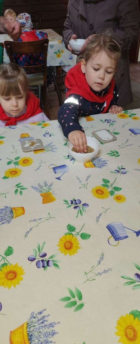 	Dnia 22 maja 20205 roku dzieci  z grupy „Zajączki” oraz „Leśne Skrzaty” z oddziałów przedszkolnych przy SP2 udały się na wycieczkę do Zagrody Edukacyjnej „Ziołowy Dzbanek” . Podczas wizyty dzieci uczestniczyły w warsztatach, gdzie miały okazję własnoręcznie wykonać piękny prezent, który wręczą podczas  zbliżającego się
” Dnia Mamy”. Kolejną atrakcją dla dzieci był spacer po „Ogrodzie Ziołowym”, gdzie  miały okazję zobaczyć, powąchać  oraz poznać zastosowanie niektórych ziół. Natomiast w „Chacie Zielarskiej”miały okazję zobaczyć różne sprzęty codziennego użytku z dawnych lat. Dodatkową atrakcją dla dzieci było spotkanie ze zwierzętami w mini zoo, gdzie mogły dosyć nieśmiało z małą dozą niepewności nakarmić znajdujące się tam zwierzęta. Na zakończenie pełnej emocji wizyty dzieci zjadły przygotowane przez gospodarzy pyszne czekoladowe babeczki i wypiły domowy kompot. Uśmiech na twarzach dzieci był najlepszym dowodem na to , iż wycieczkę możemy uznać za udaną :)
