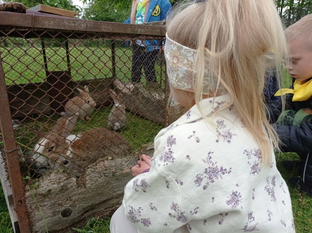 Dnia 22 maja 20205 roku dzieci z grupy „Zajączki” oraz „Leśne Skrzaty” z oddziałów przedszkolnych przy SP2 udały się na wycieczkę do Zagrody Edukacyjnej „Ziołowy Dzbanek” . Podczas wizyty dzieci uczestniczyły w warsztatach, gdzie miały okazję własnoręcznie wykonać piękny prezent, który wręczą podczas zbliżającego się
” Dnia Mamy”. Kolejną atrakcją dla dzieci był spacer po „Ogrodzie Ziołowym”, gdzie miały okazję zobaczyć, powąchać oraz poznać zastosowanie niektórych ziół. Natomiast w „Chacie Zielarskiej”miały okazję zobaczyć różne sprzęty codziennego użytku z dawnych lat. Dodatkową atrakcją dla dzieci było spotkanie ze zwierzętami w mini zoo, gdzie mogły dosyć nieśmiało z małą dozą niepewności nakarmić znajdujące się tam zwierzęta. Na zakończenie pełnej emocji wizyty dzieci zjadły przygotowane przez gospodarzy pyszne czekoladowe babeczki i wypiły domowy kompot. Uśmiech na twarzach dzieci był najlepszym dowodem na to , iż wycieczkę możemy uznać za udaną :)