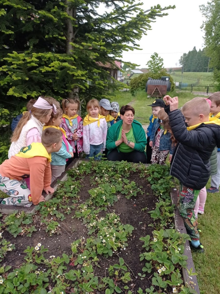 Dnia 22 maja 20205 roku dzieci z grupy „Zajączki” oraz „Leśne Skrzaty” z oddziałów przedszkolnych przy SP2 udały się na wycieczkę do Zagrody Edukacyjnej „Ziołowy Dzbanek” . Podczas wizyty dzieci uczestniczyły w warsztatach, gdzie miały okazję własnoręcznie wykonać piękny prezent, który wręczą podczas zbliżającego się
” Dnia Mamy”. Kolejną atrakcją dla dzieci był spacer po „Ogrodzie Ziołowym”, gdzie miały okazję zobaczyć, powąchać oraz poznać zastosowanie niektórych ziół. Natomiast w „Chacie Zielarskiej”miały okazję zobaczyć różne sprzęty codziennego użytku z dawnych lat. Dodatkową atrakcją dla dzieci było spotkanie ze zwierzętami w mini zoo, gdzie mogły dosyć nieśmiało z małą dozą niepewności nakarmić znajdujące się tam zwierzęta. Na zakończenie pełnej emocji wizyty dzieci zjadły przygotowane przez gospodarzy pyszne czekoladowe babeczki i wypiły domowy kompot. Uśmiech na twarzach dzieci był najlepszym dowodem na to , iż wycieczkę możemy uznać za udaną :)