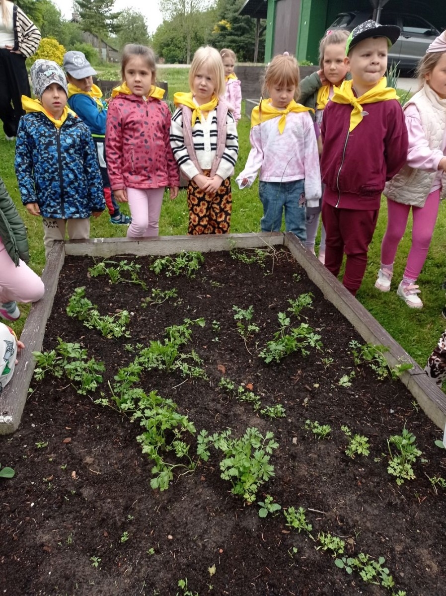 Dnia 22 maja 20205 roku dzieci z grupy „Zajączki” oraz „Leśne Skrzaty” z oddziałów przedszkolnych przy SP2 udały się na wycieczkę do Zagrody Edukacyjnej „Ziołowy Dzbanek” . Podczas wizyty dzieci uczestniczyły w warsztatach, gdzie miały okazję własnoręcznie wykonać piękny prezent, który wręczą podczas zbliżającego się
” Dnia Mamy”. Kolejną atrakcją dla dzieci był spacer po „Ogrodzie Ziołowym”, gdzie miały okazję zobaczyć, powąchać oraz poznać zastosowanie niektórych ziół. Natomiast w „Chacie Zielarskiej”miały okazję zobaczyć różne sprzęty codziennego użytku z dawnych lat. Dodatkową atrakcją dla dzieci było spotkanie ze zwierzętami w mini zoo, gdzie mogły dosyć nieśmiało z małą dozą niepewności nakarmić znajdujące się tam zwierzęta. Na zakończenie pełnej emocji wizyty dzieci zjadły przygotowane przez gospodarzy pyszne czekoladowe babeczki i wypiły domowy kompot. Uśmiech na twarzach dzieci był najlepszym dowodem na to , iż wycieczkę możemy uznać za udaną :)