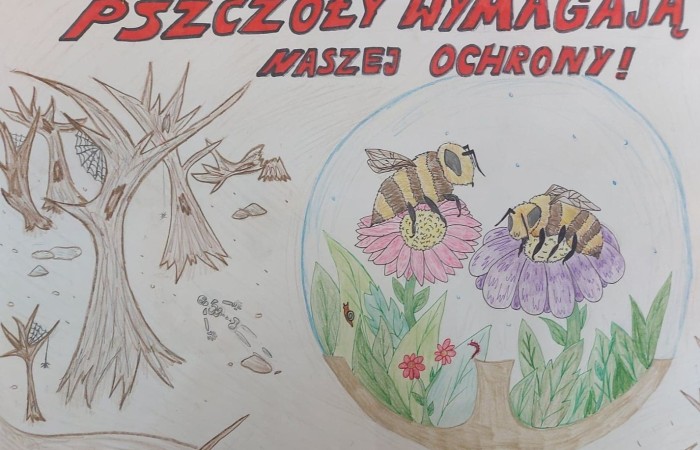 Warmińsko-Mazurski Ośrodek Doskonalenia Nauczycieli w Elblągu we współpracy z Zarządem Regionalnym Związku Pszczelarzy w Elblągu zorganizował  konkurs plastyczny pt. „Z każdej strony, pszczoły wymagają naszej ochrony”. Ideą konkursu jest przybliżenie w formie plastycznej tematyki związanej z zjawiskiem zmian klimatycznych mających wpływ na populację pszczół. Dzięki naszym pracom plastycznym postrzegamy problem ginięcia pszczół, które uważane są za gatunek zagrożony.Rozstrzygnięcie konkursu dopiero w sierpniu, ale cieszymy się, że mogliśmy wziąć w nim udział.
