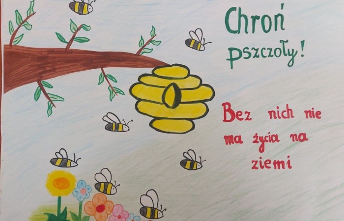 Warmińsko-Mazurski Ośrodek Doskonalenia Nauczycieli w Elblągu we współpracy z Zarządem Regionalnym Związku Pszczelarzy w Elblągu zorganizował  konkurs plastyczny pt. „Z każdej strony, pszczoły wymagają naszej ochrony”. Ideą konkursu jest przybliżenie w formie plastycznej tematyki związanej z zjawiskiem zmian klimatycznych mających wpływ na populację pszczół. Dzięki naszym pracom plastycznym postrzegamy problem ginięcia pszczół, które uważane są za gatunek zagrożony.Rozstrzygnięcie konkursu dopiero w sierpniu, ale cieszymy się, że mogliśmy wziąć w nim udział.