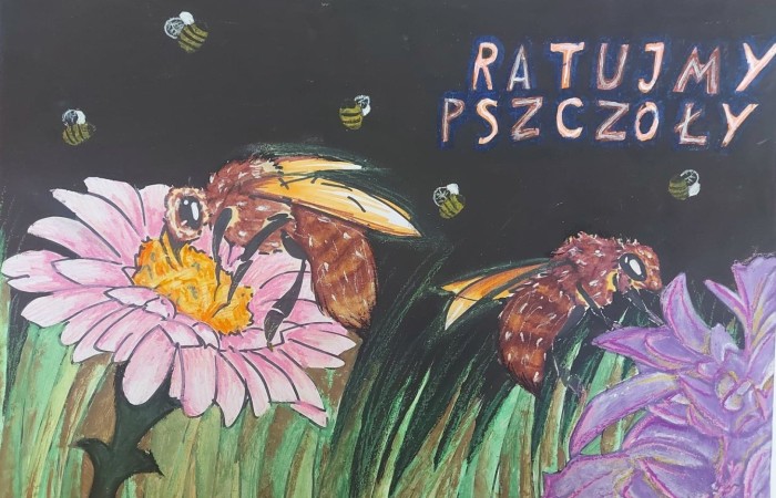 Warmińsko-Mazurski Ośrodek Doskonalenia Nauczycieli w Elblągu we współpracy z Zarządem Regionalnym Związku Pszczelarzy w Elblągu zorganizował  konkurs plastyczny pt. „Z każdej strony, pszczoły wymagają naszej ochrony”. Ideą konkursu jest przybliżenie w formie plastycznej tematyki związanej z zjawiskiem zmian klimatycznych mających wpływ na populację pszczół. Dzięki naszym pracom plastycznym postrzegamy problem ginięcia pszczół, które uważane są za gatunek zagrożony.Rozstrzygnięcie konkursu dopiero w sierpniu, ale cieszymy się, że mogliśmy wziąć w nim udział.