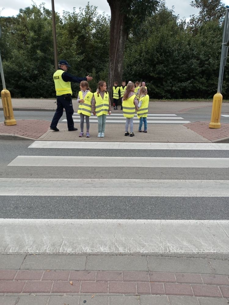 Jak zachowywać się na drodze, żeby bezpiecznie iść do szkoły i wrócić do domu?
Tę wiedzę przekazali  nam doświadczeni policjanci pasłęckiej policji.
                                Dziękujemy!!!
