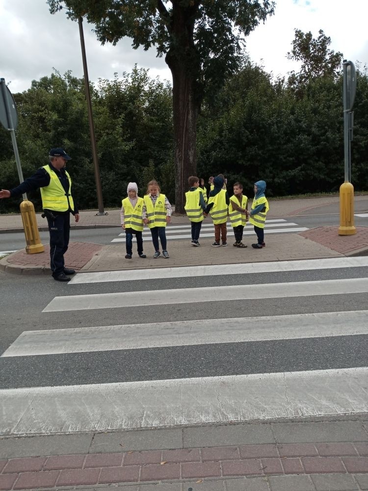 Jak zachowywać się na drodze, żeby bezpiecznie iść do szkoły i wrócić do domu?
Tę wiedzę przekazali  nam doświadczeni policjanci pasłęckiej policji.
                                Dziękujemy!!!
