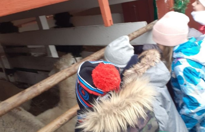 Wielkimi krokami zbliżają się święta Bożego Narodzenia. 30 listopada 2022r. uczniowie klas pierwszych udali się na wycieczkę do Przystanku Świętego Mikołaja 
w Drzewinie, gdzie od progu czekał na nich  Elf z mnóstwem atrakcji.
Nasz zaprzyjaźniony Elf, po wykonaniu przez dzieci wszystkich zadań, wręczył każdemu uczestnikowi Certyfikat  Pomocnika Elfa i specjalny znaczek  potwierdzający wizytę w Przystanku Świętego Mikołaja.
Uczniowie pełni wrażeń udali się w drogę powrotną
