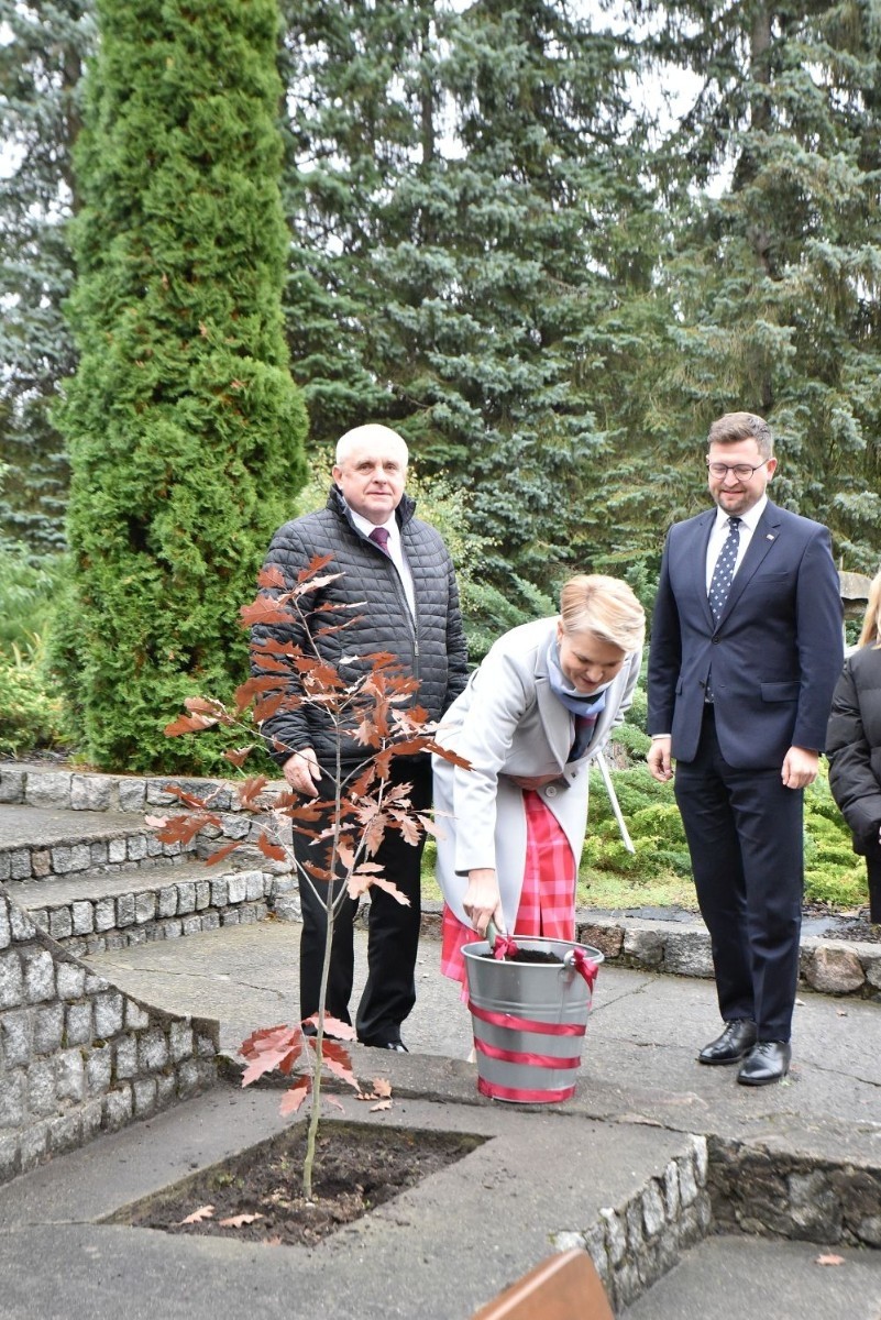 20 października świętowaliśmy Jubileusz 60-lecia Szkoły Podstawowej nr 2 w Pasłęku. Był to dla nas szczególny dzień, czas, w którym w symboliczny sposób przenieśliśmy się do chwili powstania naszej szkoły. Cieszymy się bardzo, że tak ważne dla nas wydarzenie swą obecnością uświetnili: minister Andrzej Śliwka - podsekretarz stanu w Ministerstwie Aktywów Państwowych, Burmistrz Pasłęka Pan Wiesław Śniecikowski, Przewodniczący Rady Miejskiej w Pasłęku Pan Marian Matuszczak, Starosta Powiatu Elbląskiego Pan Maciej Romanowski, wiceburmistrz Pan Marek Sarnowski, dyrektorzy i przedstawiciele instytucji oświatowych, służb mundurowych, działacze stowarzyszeń i związków zawodowych, emeryci oraz liczni absolwenci Szkoły Podstawowej nr 2 w Pasłęku.
Obchody jubileuszu rozpoczęliśmy od posadzenia drzewka przed pomnikiem patrona, Władysława Broniewskiego i przecięcia wstęgi na ławeczce upamiętniającej tę wyjątkową rocznicę. Następnie, już w auli, głos zabrała Pani Dyrektor Agnieszka Cieklińska, dzięki której wspomnienia związane z historią szkoły na nowo odżyły w pamięci zebranych. W pięknych słowach usłyszeliśmy o początkach szkoły, przypomnieliśmy sobie losy ludzi z nią związanych, ich sukcesy i zmagania, dzięki którym my dzisiaj możemy być częścią wyjątkowego miejsca, tak mocno wpisującego się w historię naszego miasta.