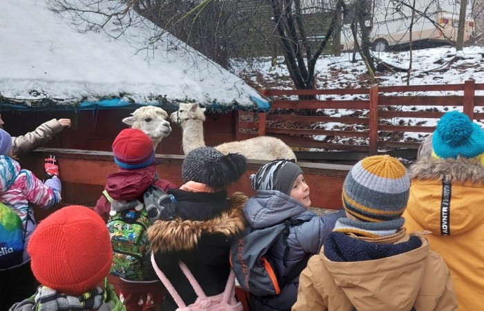 Boże Narodzenie zbliża się wielkimi krokami. W szaleństwie przygotowań każdy, jak tylko może próbuje wyczarować świąteczny nastrój. A wiecie kto zna się na tym najlepiej? Oczywiście Święty Mikołaj. Dlatego też uczniowie klas pierwszych, zamówili dobrą pogodę, wsiedli do autobusu i ruszyli w podróż do Przystanku w Drzewinie, gdzie Mikołaj i jego pomocnicy czekają na wielki dzień. Mimo, że są bardzo zapracowani, znaleźli dla nas czas. Mało tego, zorganizowali również masę atrakcji. Od żywej szopki, poprzez zwiedzanie lapońskiej wioski, kino za jeden uśmiech, wspólne tańce i śpiewy, warsztaty plastyczne, aż do spotkania z samym Świętym Mikołajem. Był to dzień pełen wrażeń, który będziemy wspominać z szerokim uśmiechem na twarzy.
