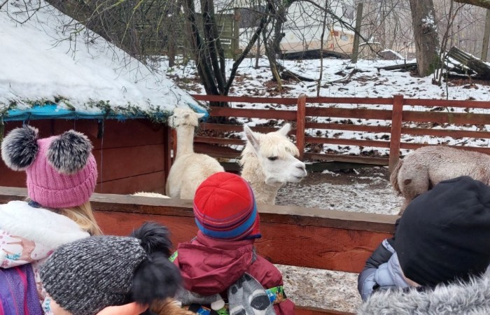 Boże Narodzenie zbliża się wielkimi krokami. W szaleństwie przygotowań każdy, jak tylko może próbuje wyczarować świąteczny nastrój. A wiecie kto zna się na tym najlepiej? Oczywiście Święty Mikołaj. Dlatego też uczniowie klas pierwszych, zamówili dobrą pogodę, wsiedli do autobusu i ruszyli w podróż do Przystanku w Drzewinie, gdzie Mikołaj i jego pomocnicy czekają na wielki dzień. Mimo, że są bardzo zapracowani, znaleźli dla nas czas. Mało tego, zorganizowali również masę atrakcji. Od żywej szopki, poprzez zwiedzanie lapońskiej wioski, kino za jeden uśmiech, wspólne tańce i śpiewy, warsztaty plastyczne, aż do spotkania z samym Świętym Mikołajem. Był to dzień pełen wrażeń, który będziemy wspominać z szerokim uśmiechem na twarzy.
