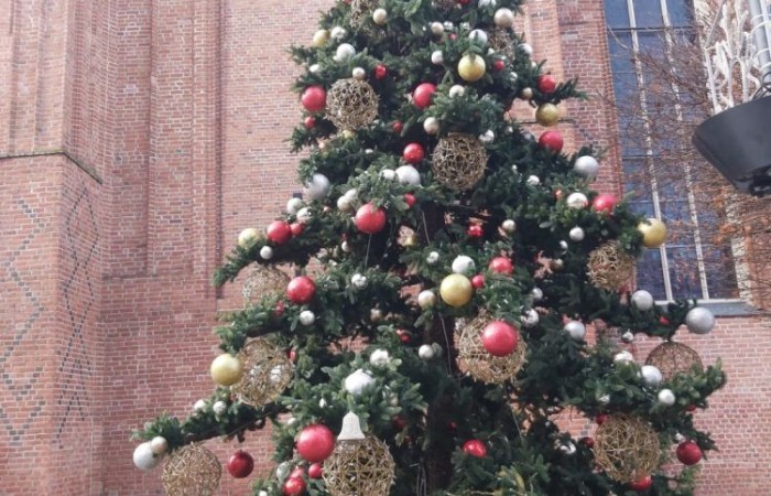 
Uczniowie klas II i III wybrali się na wycieczkę do CSE Światowid w Elblągu. Tam na krótką chwilę przenieśli się do świata niekończących się przygód, a to wszystko za sprawą spektaklu „Baśnie Tysiąca i Jednej Nocy”. W towarzystwie Ali Baby, Sindbada Żeglarza, Dżinów i wielu, wielu innych, odkrywali magiczne historie wywodzące się z tradycji i kultury Bliskiego Wschodu. 
Dla uczniów klas III nie był to jednak koniec atrakcji. Po skończonym przedstawieniu, ruszyli na spacer po Starym Mieście, a następnie odwiedzili Muzeum Archeologiczno-Historyczne, gdzie mieli okazję bliżej poznać historię Elbląga, a także osady Truso i plemienia Gotów. 
