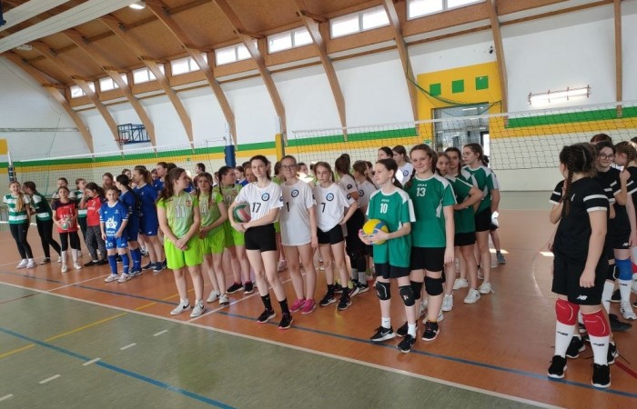 Reprezentacja naszej Podstawówki w tegorocznych rozgrywkach była gościem Zespołu Szkół w Gronowie Elbląskim.  Do rywalizacji 14.03.2024r. (czwartek ) stawiło się siedem drużyn naszego powiatu. Szkoły z: Godkowa, Pilony, Rogajn, Młynar, SP 1 Pasłęk, SP 2 Pasłęk oraz organizator Gronowo Elbląskie. Wszystkie drużyny prezentowały się bardzo dobrze udowadniając w każdym meczu, że żadna z ekip nie trafiła tu przypadkowo. Mimo młodego wieku, zawodniczki zaskakiwały silną zagrywką, poprawnym odbiorem,  czy rozegraniem piłki. Gra toczyła się do dwóch wygranych setów. W wielu przypadkach wyrównanej gry to jednak nie wystarczało i o rozstrzygnięciu musiał decydować dodatkowy tie-break. Tak było w każdym rozegranym przez nasz zespół meczu. Po niełatwej, emocjonującej rywalizacji w ostatnim naszym meczu ulegliśmy drużynie z Młynar ostatecznie zajmując czwarte miejsce.