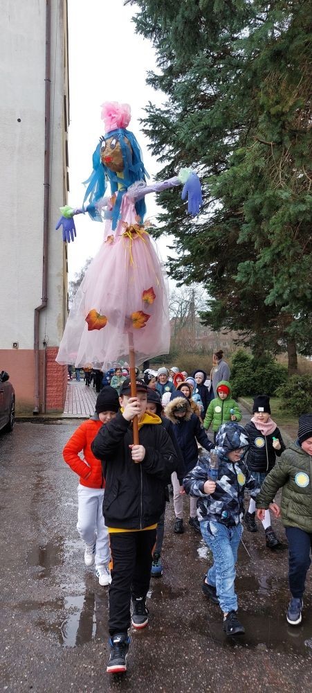 W czwartek 21 marca nasza szkoła mieniła się kolorami. Niemalże wszędzie można było dostrzec barwne motyle i kwiaty, a to wszystko za sprawą długo wyczekiwanego gościa: Pani Wiosny. Uczniowie klas I-III zgodnie z tradycją ruszyli kolorowym korowodem. Tym razem ze względu na niesprzyjającą aurę, nasz spacer z Marzanną na czele był nieco krótszy niż zazwyczaj, ale wyposażeni w domowej roboty grzechotki oraz różnego rodzaju instrumenty skandowaliśmy głośno i śpiewaliśmy wiosenne piosenki. Mamy nadzieję, że nasze czary pomogły i wiosna rozgości się u nas na dobre. 
