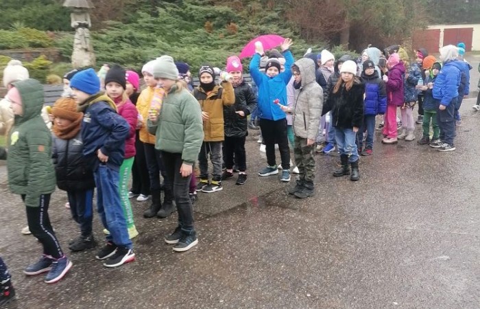 W czwartek 21 marca nasza szkoła mieniła się kolorami. Niemalże wszędzie można było dostrzec barwne motyle i kwiaty, a to wszystko za sprawą długo wyczekiwanego gościa: Pani Wiosny. Uczniowie klas I-III zgodnie z tradycją ruszyli kolorowym korowodem. Tym razem ze względu na niesprzyjającą aurę, nasz spacer z Marzanną na czele był nieco krótszy niż zazwyczaj, ale wyposażeni w domowej roboty grzechotki oraz różnego rodzaju instrumenty skandowaliśmy głośno i śpiewaliśmy wiosenne piosenki. Mamy nadzieję, że nasze czary pomogły i wiosna rozgości się u nas na dobre. 
