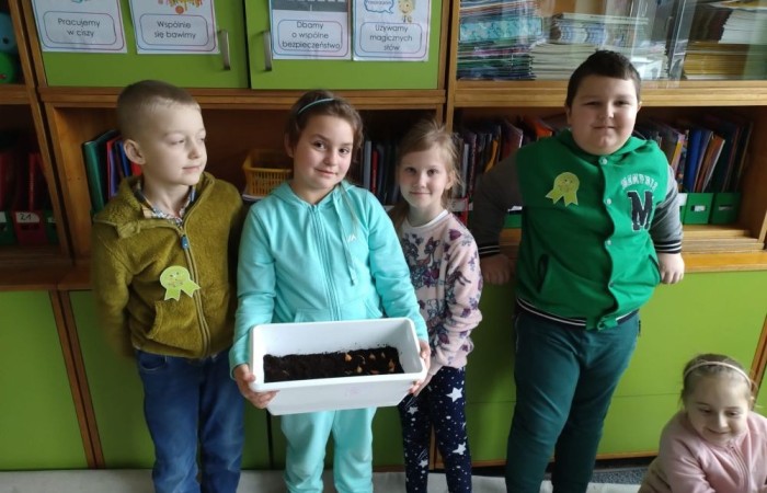 Za oknem już widać piękne słońce zwiastujące wiosnę, którą nasi uczniowie postanowili zaprosić do środka zakładając klasowe ogródki. Wysiana przez nas rzeżucha, miała uświetnić również Święta Wielkanocne. Przygotowując się do nich ciężko pracowaliśmy, tworząc piękne palmy, dekoracje, malując jajka, a nawet wykorzystując je do zabaw badawczych. Jak się spisaliśmy? Możecie zobaczyć na zdjęciach. 