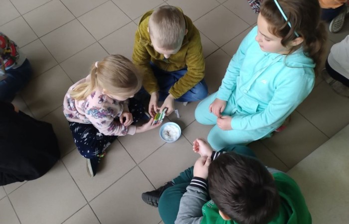 Za oknem już widać piękne słońce zwiastujące wiosnę, którą nasi uczniowie postanowili zaprosić do środka zakładając klasowe ogródki. Wysiana przez nas rzeżucha, miała uświetnić również Święta Wielkanocne. Przygotowując się do nich ciężko pracowaliśmy, tworząc piękne palmy, dekoracje, malując jajka, a nawet wykorzystując je do zabaw badawczych. Jak się spisaliśmy? Możecie zobaczyć na zdjęciach. 