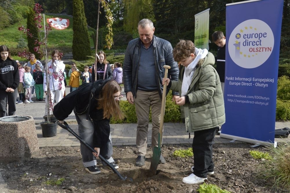 22 kwietnia na całym świecie obchodzony jest Międzynarodowy Dzień Ziemi. W naszej szkole to ekologiczne święto celebrowaliśmy nieco później, bo 25 kwietnia. Było to wydarzenie, łączące sztukę, edukację ekologiczną i działanie na rzecz ochrony środowiska. Uczniowie klas pierwszych przygotowali krótką część artystyczną, na którą zaprosili przedszkolaków, uczniów klas II i III, a także gości specjalnych: Pana Zdzisława Młynarczyka (członka Rady Powiatowej Warmińsko-Mazurskiej Izby Rolniczej) oraz Panią Igę Jurczak (przedstawiciela Rady Powiatowej Warmińsko-Mazurskiej Izby Rolniczej), którzy przywieźli ze sobą wyjątkowe prezenty- drzewka ozdobne i krzewy borówek. Po skończonej uroczystości nasi goście wraz z Panią Dyrektor i przedstawicielami klas starszych zajęli się sadzonkami, które wkrótce będą prawdziwą ozdobą terenu naszej szkoły.