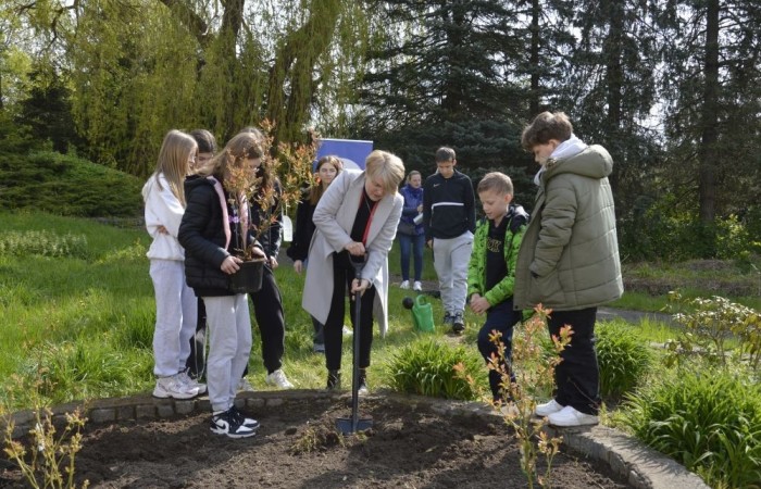 22 kwietnia na całym świecie obchodzony jest Międzynarodowy Dzień Ziemi. W naszej szkole to ekologiczne święto celebrowaliśmy nieco później, bo 25 kwietnia. Było to wydarzenie, łączące sztukę, edukację ekologiczną i działanie na rzecz ochrony środowiska. Uczniowie klas pierwszych przygotowali krótką część artystyczną, na którą zaprosili przedszkolaków, uczniów klas II i III, a także gości specjalnych: Pana Zdzisława Młynarczyka (członka Rady Powiatowej Warmińsko-Mazurskiej Izby Rolniczej) oraz Panią Igę Jurczak (przedstawiciela Rady Powiatowej Warmińsko-Mazurskiej Izby Rolniczej), którzy przywieźli ze sobą wyjątkowe prezenty- drzewka ozdobne i krzewy borówek. Po skończonej uroczystości nasi goście wraz z Panią Dyrektor i przedstawicielami klas starszych zajęli się sadzonkami, które wkrótce będą prawdziwą ozdobą terenu naszej szkoły.