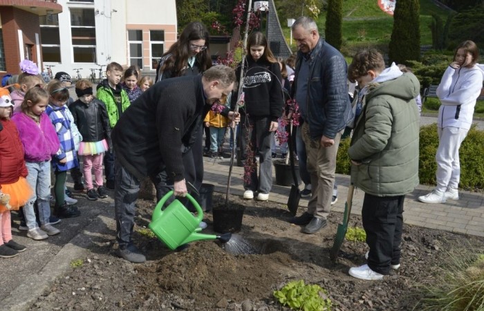 22 kwietnia na całym świecie obchodzony jest Międzynarodowy Dzień Ziemi. W naszej szkole to ekologiczne święto celebrowaliśmy nieco później, bo 25 kwietnia. Było to wydarzenie, łączące sztukę, edukację ekologiczną i działanie na rzecz ochrony środowiska. Uczniowie klas pierwszych przygotowali krótką część artystyczną, na którą zaprosili przedszkolaków, uczniów klas II i III, a także gości specjalnych: Pana Zdzisława Młynarczyka (członka Rady Powiatowej Warmińsko-Mazurskiej Izby Rolniczej) oraz Panią Igę Jurczak (przedstawiciela Rady Powiatowej Warmińsko-Mazurskiej Izby Rolniczej), którzy przywieźli ze sobą wyjątkowe prezenty- drzewka ozdobne i krzewy borówek. Po skończonej uroczystości nasi goście wraz z Panią Dyrektor i przedstawicielami klas starszych zajęli się sadzonkami, które wkrótce będą prawdziwą ozdobą terenu naszej szkoły.