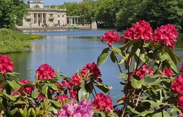 W dniach 15-16 maja klasy VII a, VII b i VI a odwiedziły stolicę. Pierwszy dzień rozpoczęliśmy od Placu Zamkowego i kolumny Zygmunta. Zwiedziliśmy Zamek Królewski i przespacerowaliśmy się bulwarem nadwiślańskim pod pomnik Syrenki, gdzie zrobiliśmy pamiątkowe zdjęcie. Popołudnie spędziliśmy w Centrum Nauki Kopernik. Drugi dzień rozpoczęliśmy spacerem po Parku Łazienkowskim, następnie przeszliśmy Krakowskim Przedmieściem pod Grób Nieznanego Żołnierza i Pałac Prezydencki. Oczywiście nie ominęliśmy też najbardziej charakterystycznego miejsca w Warszawie, czyli Pałacu Kultury i Nauki. Ostatnim punktem wycieczki była wizyta w Muzeum Powstania Warszawskiego. To były dwa dni pełne niezapomnianych wrażeń