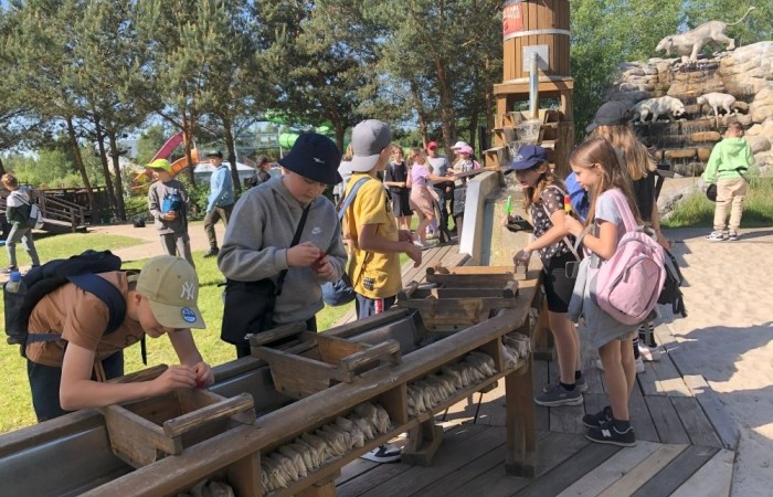 W dniach 15-18 maja 2024 roku uczniowie klas 4A i 5B wybrali się na wycieczkę do Łeby. Oto krótkie podsumowanie ich przygody.
Wizyta w Słowińskim Parku Narodowym była niezapomniana. Ruchome wydmy to unikalne miejsce, gdzie piaskowe pagórki przemieszczają się pod wpływem wiatru. Uczniowie mieli okazję spacerować po tych wydmach i podziwiać piękno natury.
W Łebie Parku czekało na nich wiele atrakcji: Zamek Strachu - dla odważnych, którzy lubią emocje; pojazdy Flinstonów - ciekawa atrakcja dla fanów kultowego serialu, Kopalnia złota - poszukiwanie skarbów; Labirynt magicznych luster - złudzenie nieskończonego lustra; zjeżdżalnie wodne 4 w 1 oraz zjeżdżalnia Boomerang - dla fanów wodnych atrakcji, zjazd na pontonach bez potrzeby przebierania się w stroje kąpielowe, wysokość ślizgu – 10 metrów; Diabelski Młyn, wysoki na 27 metrów wyposażony w 20 gondoli stoi nieopodal naszych zjeżdżalni, widok z góry zapiera dech w piersiach; park trampolin - ogromna przestrzeń, wypełniona parkourem, trampolinami, koszykówką, a także miejscem do robienia salt,  po których bezpiecznie wylądujesz na poduchę; autodrom - atrakcja którą zna niemal każdy! To must-have każdego parku rozrywki.
Uczniowie przemieszczali się po Łebie na melexach, co było wygodnym i ekscytującym środkiem transportu. Na koniec dnia uczniowie odpoczywali w Ośrodku Wypoczynkowym Fregata, gdzie mogli zrelaksować się po pełnym wrażeń dniu.
Wycieczka była udana, a uczniowie wrócili do domu z pięknymi wspomnieniami!