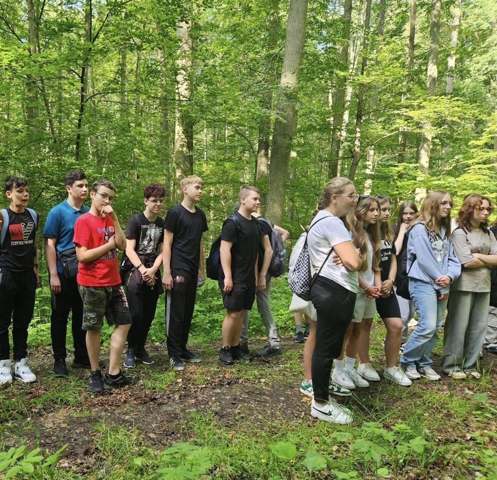 Kolejne działanie w ramach projektu Erasmus Discovering Carrers in Europe . Dziś uczniowie klas siódmych mieli okazję poznać zawód leśnika. Była wyprawa do lasu, ścieżka edukacyjna i fantastyczne opowieści pani leśnik o tym jaki jest las, na czym polega zawód leśnika i co trzeba zrobić alby móc  wykonywać tak piękną pracę. Pobyt zakończony ogniskiem i oczywiście pieczonymi w nim kiełbaskami. Dziękujemy Nadleśnictwu Młynary za gościnność i piękną lekcję przyrody. Nawet wszechobecne komary nie były w stanie zepsuć mam przyjemności dzisiejszego dnia.