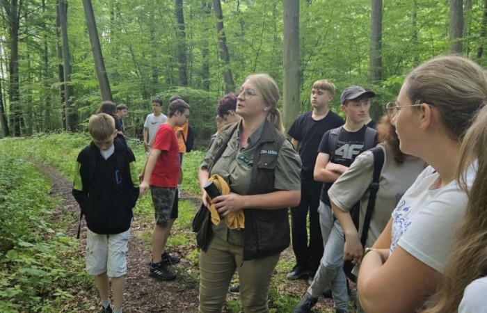 Kolejne działanie w ramach projektu Erasmus Discovering Carrers in Europe . Dziś uczniowie klas siódmych mieli okazję poznać zawód leśnika. Była wyprawa do lasu, ścieżka edukacyjna i fantastyczne opowieści pani leśnik o tym jaki jest las, na czym polega zawód leśnika i co trzeba zrobić alby móc  wykonywać tak piękną pracę. Pobyt zakończony ogniskiem i oczywiście pieczonymi w nim kiełbaskami. Dziękujemy Nadleśnictwu Młynary za gościnność i piękną lekcję przyrody. Nawet wszechobecne komary nie były w stanie zepsuć mam przyjemności dzisiejszego dnia.