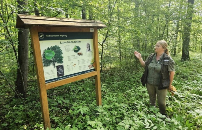 Kolejne działanie w ramach projektu Erasmus Discovering Carrers in Europe . Dziś uczniowie klas siódmych mieli okazję poznać zawód leśnika. Była wyprawa do lasu, ścieżka edukacyjna i fantastyczne opowieści pani leśnik o tym jaki jest las, na czym polega zawód leśnika i co trzeba zrobić alby móc  wykonywać tak piękną pracę. Pobyt zakończony ogniskiem i oczywiście pieczonymi w nim kiełbaskami. Dziękujemy Nadleśnictwu Młynary za gościnność i piękną lekcję przyrody. Nawet wszechobecne komary nie były w stanie zepsuć mam przyjemności dzisiejszego dnia.