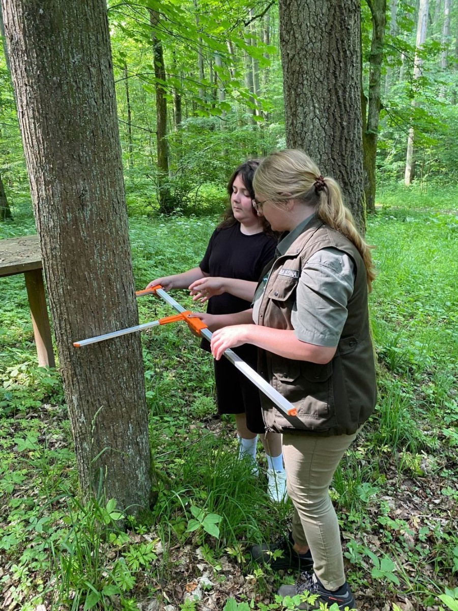 Kolejne działanie w ramach projektu Erasmus Discovering Carrers in Europe . Dziś uczniowie klas siódmych mieli okazję poznać zawód leśnika. Była wyprawa do lasu, ścieżka edukacyjna i fantastyczne opowieści pani leśnik o tym jaki jest las, na czym polega zawód leśnika i co trzeba zrobić alby móc  wykonywać tak piękną pracę. Pobyt zakończony ogniskiem i oczywiście pieczonymi w nim kiełbaskami. Dziękujemy Nadleśnictwu Młynary za gościnność i piękną lekcję przyrody. Nawet wszechobecne komary nie były w stanie zepsuć mam przyjemności dzisiejszego dnia.