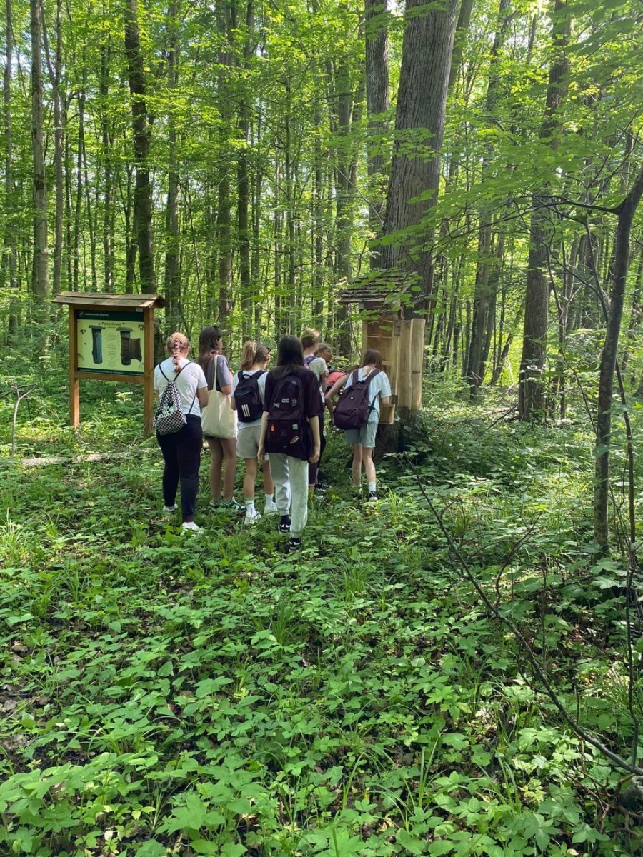 Kolejne działanie w ramach projektu Erasmus Discovering Carrers in Europe . Dziś uczniowie klas siódmych mieli okazję poznać zawód leśnika. Była wyprawa do lasu, ścieżka edukacyjna i fantastyczne opowieści pani leśnik o tym jaki jest las, na czym polega zawód leśnika i co trzeba zrobić alby móc  wykonywać tak piękną pracę. Pobyt zakończony ogniskiem i oczywiście pieczonymi w nim kiełbaskami. Dziękujemy Nadleśnictwu Młynary za gościnność i piękną lekcję przyrody. Nawet wszechobecne komary nie były w stanie zepsuć mam przyjemności dzisiejszego dnia.