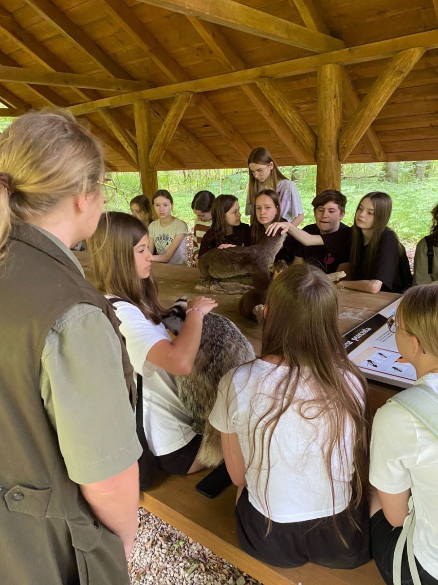 Kolejne działanie w ramach projektu Erasmus Discovering Carrers in Europe . Dziś uczniowie klas siódmych mieli okazję poznać zawód leśnika. Była wyprawa do lasu, ścieżka edukacyjna i fantastyczne opowieści pani leśnik o tym jaki jest las, na czym polega zawód leśnika i co trzeba zrobić alby móc  wykonywać tak piękną pracę. Pobyt zakończony ogniskiem i oczywiście pieczonymi w nim kiełbaskami. Dziękujemy Nadleśnictwu Młynary za gościnność i piękną lekcję przyrody. Nawet wszechobecne komary nie były w stanie zepsuć mam przyjemności dzisiejszego dnia.