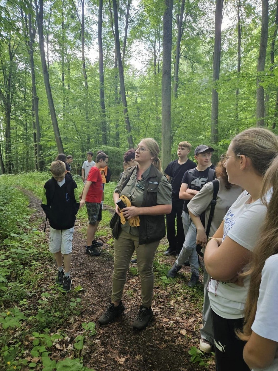 Kolejne działanie w ramach projektu Erasmus Discovering Carrers in Europe . Dziś uczniowie klas siódmych mieli okazję poznać zawód leśnika. Była wyprawa do lasu, ścieżka edukacyjna i fantastyczne opowieści pani leśnik o tym jaki jest las, na czym polega zawód leśnika i co trzeba zrobić alby móc  wykonywać tak piękną pracę. Pobyt zakończony ogniskiem i oczywiście pieczonymi w nim kiełbaskami. Dziękujemy Nadleśnictwu Młynary za gościnność i piękną lekcję przyrody. Nawet wszechobecne komary nie były w stanie zepsuć mam przyjemności dzisiejszego dnia.