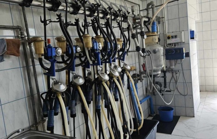 Super dzień! Za nami wizyta w zaprzyjaźnionym Aniołowie. Podczas spotkania uczestnicy wzięli udział w warsztatach międzykulturowych. Poznali doświadczenia Stowarzyszenia Aniołowo w ramach projektu Erasmus „Discovering Careers in Europe ‘’w zakresie ich współpracy z krajami UE. Poza tym, zgodnie z tematem projektu poznali zawód rolnika. Odwiedzili gospodarstwo rolników w Aniołowie. Była okazja do poznania zawodu, zwiedzania gospodarstwa, rozmów z rolnikami. Uczniowie klasy 7a i 7b poznali zasady gry w bule czyli tradycyjną francuska grę oraz zdobyli podstawowe umiejętności  żonglerki piłeczkami. Był to świetny pomysł na zabawę i integracje klas.
Dziękujemy serdecznie za miłe przyjęcie.