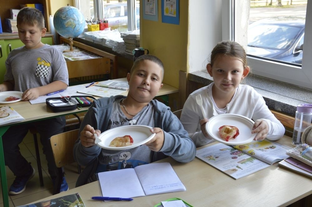 W piątek 27.09. w naszej szkole obchodziliśmy Dzień Jabłka. Dzieci z klas młodszych miały okazję wziąć udział w zajęciach, których motywem przewodnim były właśnie te pyszne owoce. Począwszy od zabaw plastycznych, przez łamigłówki, po eksperymenty badawcze. Nie mogło również zabraknąć pysznych jabłkowych przekąsek przygotowanych przez rodziców naszych uczniów, które zniknęły w mgnieniu oka.
Dziękujemy wszystkim rodzicom za pomoc i zaangażowanie, a uczniom za wspólną zabawę.