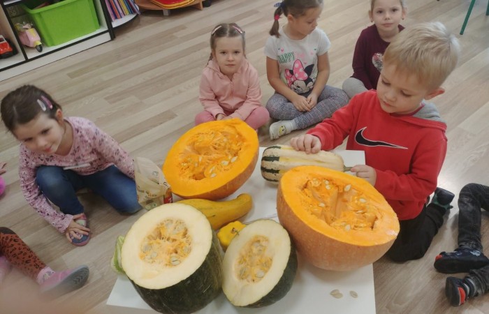 Dzień dyni 

Jak co roku, wraz z końcem października, nasze przedszkolaki obchodziły święto dyni. Tego dnia dzieci miały okazję rozszerzyć swoją wiedzę na temat dyń. Poznaliśmy ich różne rodzaje, sprawdziliśmy co skrywają w środku, a nawet upiekliśmy własne w mikrofalówce :) Dyniowym zabawom nie było końca. Teraz z utęsknieniem będziemy czekać do następnego spotkania :) 
