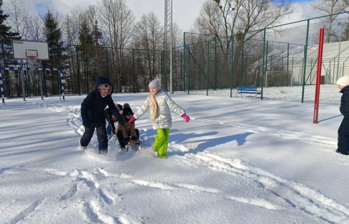 Korzystając z pięknej, zimowej aury, uczniowie klas 1-3 postanowili spędzić czas na świeżym powietrzu, oddając się radosnym zabawom na śniegu. Dzieci z zapałem lepiły bałwany, budowały śniegowe fortece i urządzały bitwy na śnieżki. Nie zabrakło też ślizgów na sankach i beztroskich harców w białym puchu. Każdy znalazł coś dla siebie, a uśmiechy na twarzach naszych uczniów mówią same za siebie – zimowa zabawa to doskonały sposób na aktywność i integrację.
