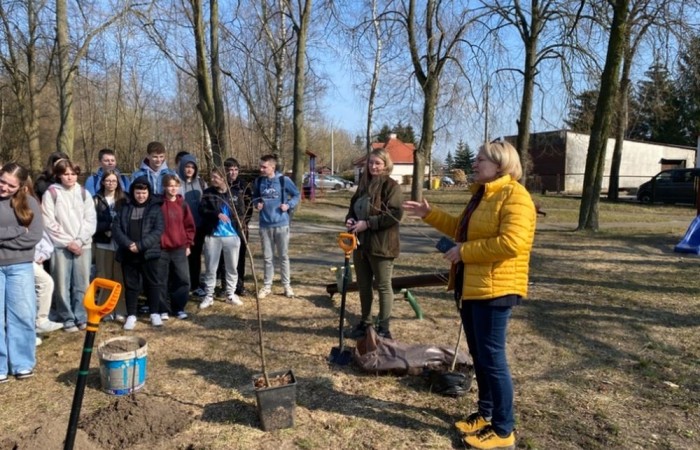 Dzisiaj, w ramach współpracy z Nadleśnictwem Młynary, uczniowie naszej szkoły wzięli udział w akcji sadzenia drzew w pobliskim parku. Wydarzenie miało na celu nie tylko zazielenienie terenu, ale także edukację ekologiczną i budowanie świadomości na temat ochrony środowiska. Pod czujnym okiem leśników dzieci sadziły młode sadzonki buka i lipy. Dodatkowo przed szkołą posadzone zostały sadzonki świerku. Na początku wydarzenia przemowę wygłosiła przewodnicząca samorządu uczniowskiego Lidia Szuniewicz, podkreślając znaczenie troski o naturę.