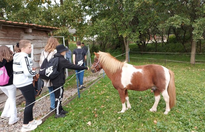 Dzisiejsze przedpołudnie spędziliśmy w magicznym klimacie Zagrody Edukacyjnej Ziołowy Dzbanek w Sąpach. Motaliśmy lalki i tworzyliśmy mydło. Wszędzie były lniane akcenty. Nawet w pysznym posiłku po zakończonych warsztatach. Po południu bawiliśmy się w pasłęckim Parku Ekologicznym na pikniku rodzinnym. Rodzice uczniów 7a przygotowali pyszne jedzenie, fantastyczne zabawy. Nasi goście mogli spróbować polskiego bigosu, pierogów i chleba ze smalcem oraz skosztować smacznych ciast. Na spotkaniu gościliśmy Zastępcę Burmistrza Pana Marka Sarnowskiego i naszą Panią Dyrektor Agnieszkę Cieklińską. Podczas wspólnych zabaw coraz mniej przeszkadzała nam bariera językowa. To był kolejny fantastyczny dzień. Dziękujemy Rodzicom 7a za przygotowanie ekstra imprezy!!!