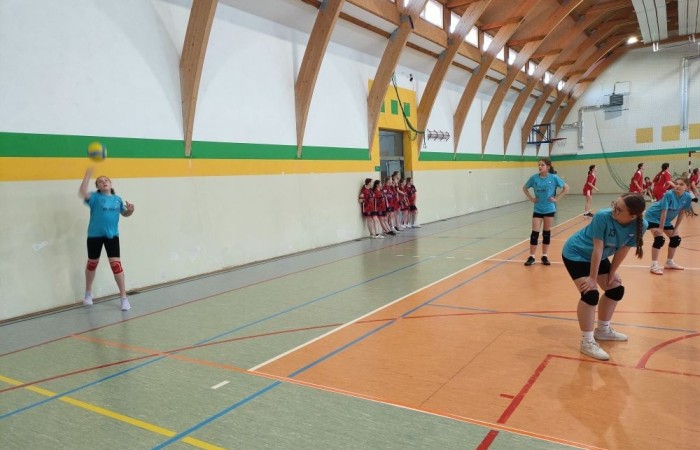 Przede wszystkim wielkie podziękowania firmie Paki Prints,  Panu Piotrowi Borysiewiczowi za piękne koszulki dla naszych zawodniczek oraz Pani Ewelinie Mikusek za uruchomienie tej inicjatywy. Dziewczyny ślicznie prezentowały się w jasno-niebieskim kolorze. Jednak mimo to nie udało nam się zająć miejsca na podium.

W turnieju o Puchar Starosty Elbląskiego rozgrywanym 15.04 2025 r. w hali sportowej Zespołu Szkół w Gronowie Elbląskim, udział wzięło osiem drużyn: z Młynar, Rogajn, Godkowa, Tolkmicka, Nowakowa, Gronowa Elbląskiego oraz dwie drużyny z Pasłęka. Zostawione na parkiecie wielkie zaangażowanie nie wystarczyło jednak naszemu zespołowi  na wyjście z grupy i ostatecznie zajęliśmy szóste miejsce. SP Nr 2 w Pasłęku reprezentowały: Maja Hołub, Weronika Jakubowska, Sandra Kędzierska, Amelia Brzozowska, Julia Sobieska, Nikola Sobota, Zuzanna Mikusek, Nadia Wojczys, Liliana Zakrzewska, Maja Pawlak.

Dziękuję zawodniczkom za sportową postawę i godne reprezentowanie naszej szkoły.                                                                                                                                                                                                            